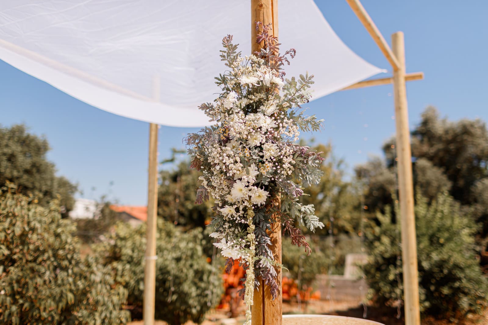 ציוד לחתונות - גיא אייל